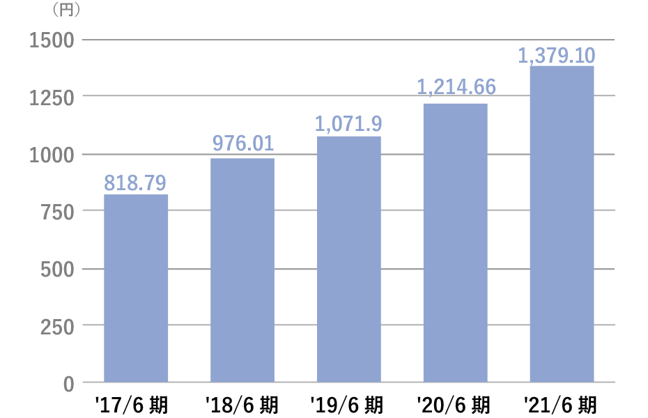 1株当たり純資産額